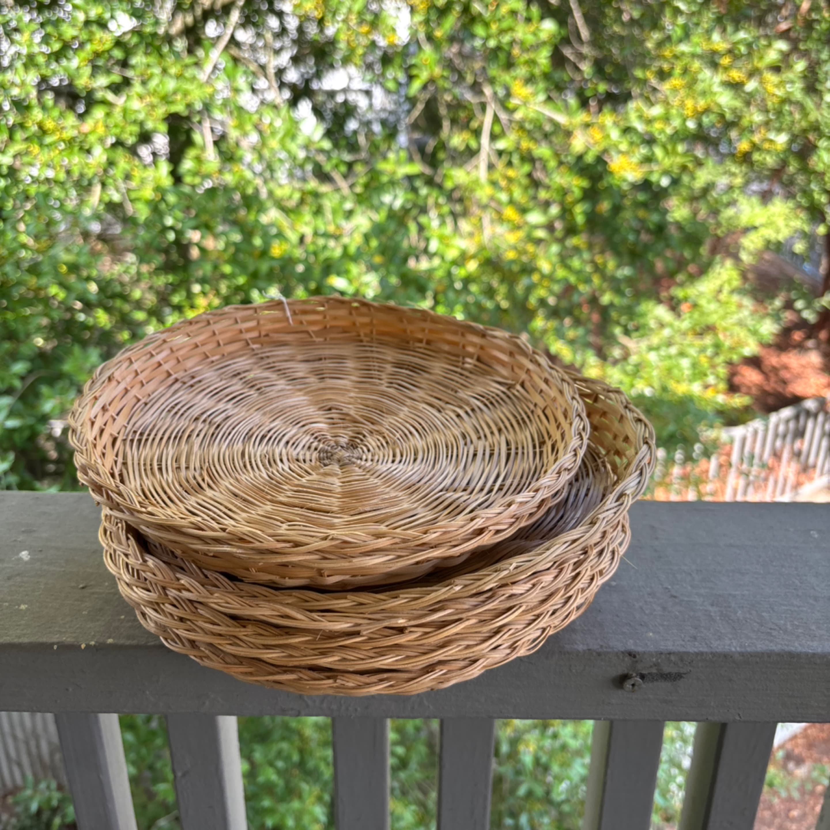 Rattan charger