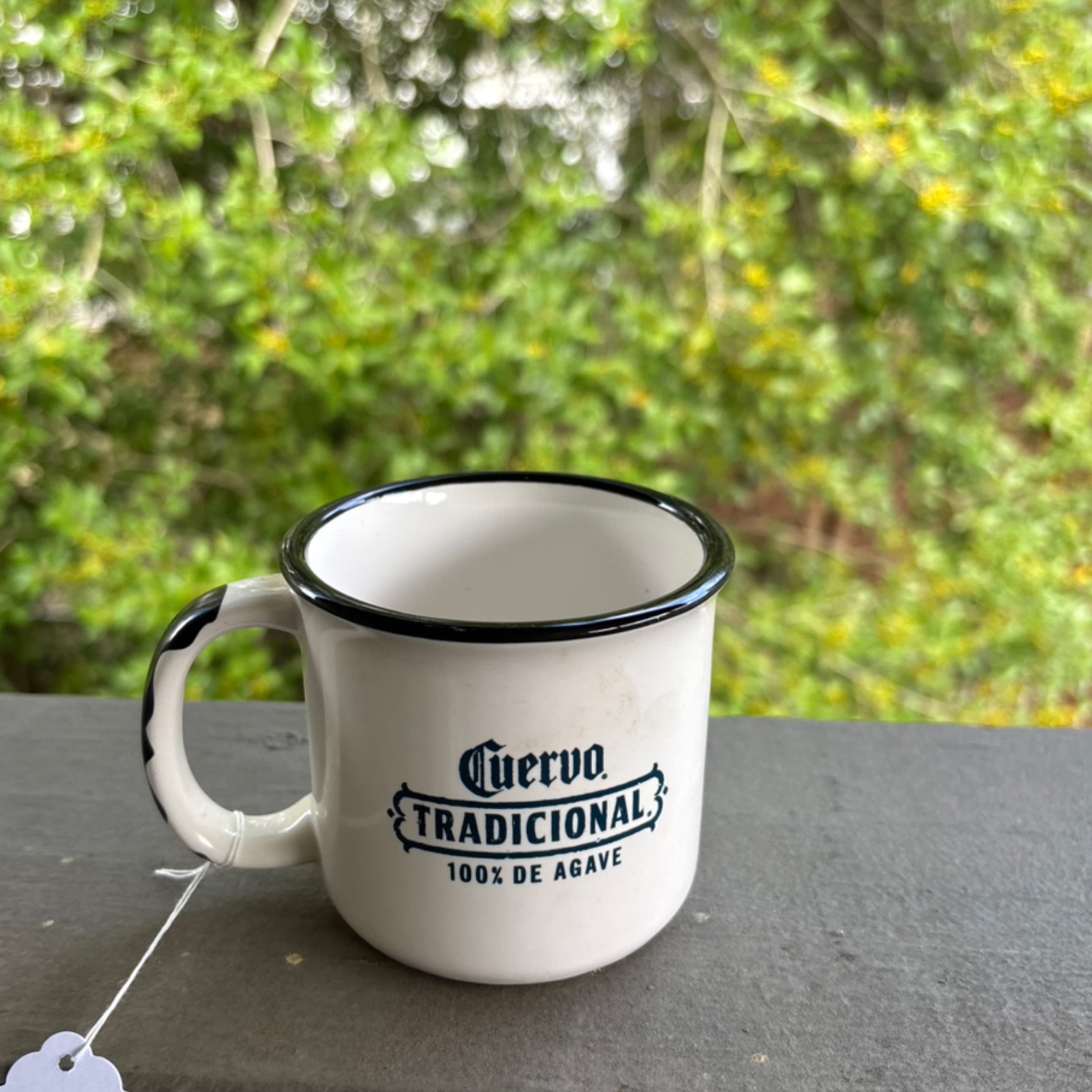 Cuervo mug