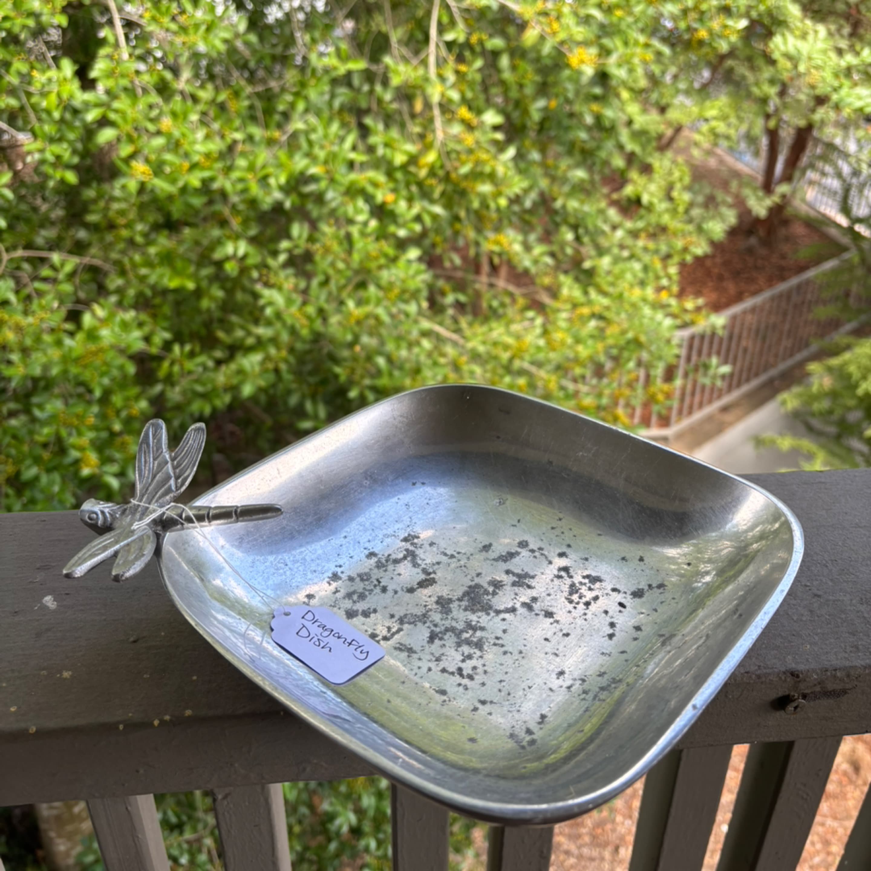 Dragonfly dish