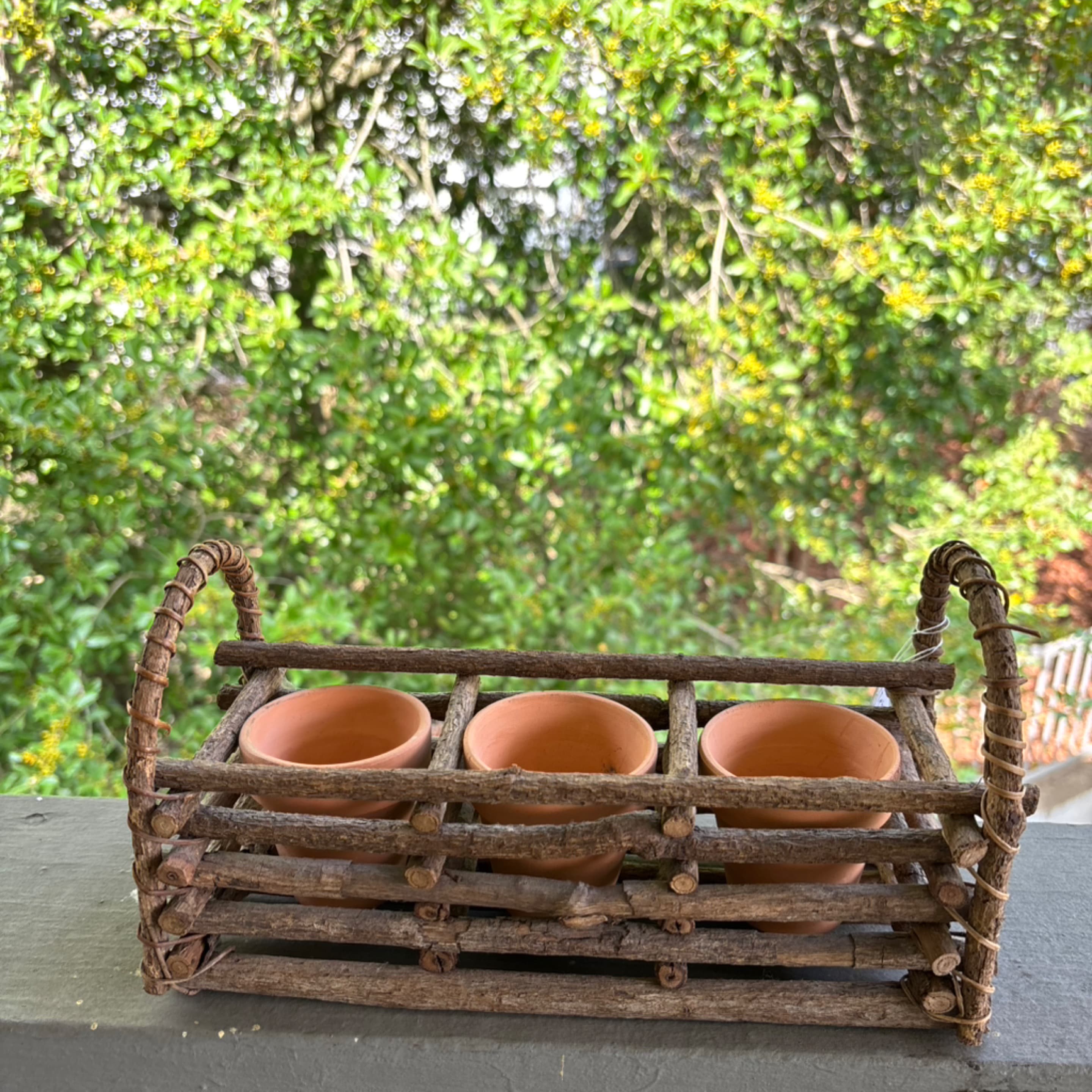 Herb Planter